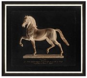 Κάδρο Cavalo By Marchetti FA13112 90X80 MindTheGap Κάθετοι Wood