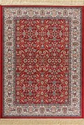 New Plan Sonia 240/301220 160 x 230