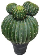 Τεχνητό Φυτό Εχινόκακτος 4101-6 62cm Green Supergreens Πολυαιθυλένιο
