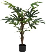 Φυτό σε γλάστρα Emeric pakoworld 15x13x120εκ