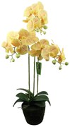 Supergreens Τεχνητό Φυτό Ορχιδέα Phalaenopsis Κίτρινο 80 εκ.