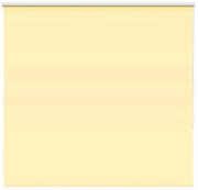 vidaXL Ρολέρ Μπλακάουτ Κίτρινο 150x150 εκ. Πλάτος υφάσματος 146,6εκ.