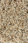 Χαλί Jazz Lush Natural 158701 Cream-Multi Brink &amp; Campman 140X200cm