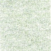 Μοκέτα Τσόχα Index 896 Latex Light Green New Plan 200X