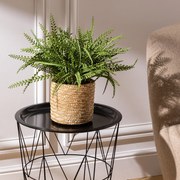 Τεχνητό Φυτό Σε Γλάστρα (Φ45x45) A-S Clemy 206609