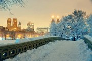 Φωτογραφία Central Park winter, rabbit75_ist