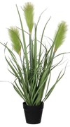 Τεχνητό Φυτό Σε Γλάστρα 53εκ. Edelman Reed Grass 1005556