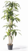 Supergreens Τεχνητό Δέντρο Δράκαινα Πράσινο 170 εκ