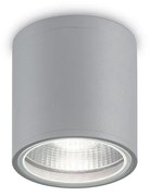 Φωτιστικό Σποτ Εξωτερικού Χώρου Ideal Lux Gun 163642 Γκρι