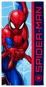 Παιδική Πετσέτα Θαλάσσης Microfiber (70x140) Dimcol Spider-Man 41 Sky Blue