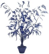 Plant in Pot POLS POTTEN 3m Fern in pot Large 540-300-013-11
