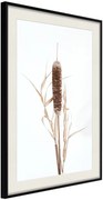 Αφίσα - Typha - 40x60 - Μαύρο - Με πασπαρτού