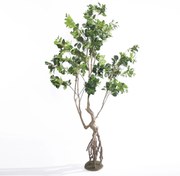 Supergreens Τεχνητό Δέντρο Φίκος Ginseng Πράσινο 250 εκ