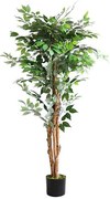 FICUS TREE NP0079_150 Ύψος 150cm