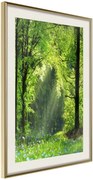 Αφίσα - Forest Path - 40x60 - Χρυσό - Με πασπαρτού