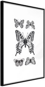 Αφίσα - Butterfly Collection IV - 40x60 - Μαύρο - Χωρίς πασπαρτού