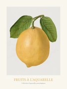 Αναπαραγωγή Lemon (Watercolour Kitchen Fruit)