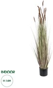 21101 GloboStar®  Artificial Garden BROWN LAGURUS 21101 Διακοσμητικό Φυτό Καφέ Λαγοουρά Υ140cm