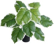 Τεχνητό Φυτό Hosta 20931 Φ60x55cm Green-White GloboStar Πολυαιθυλένιο,Ύφασμα