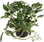 Τεχνητό Φυτό Zebrina 20960 Φ45x22cm Green GloboStar Πολυαιθυλένιο