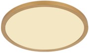 Φωτιστικό Οροφής Globo Lighting SAPANA 41562-24MM 3000K
