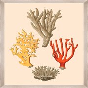Κάδρο Deliciae Naturae Ii Fa13354 35X50Cm Beige-Yellow Mindthegap Κάθετοι Wood