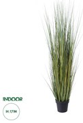 GloboStar® Artificial Garden PAMPAS GRASS 20072 Τεχνητό Διακοσμητικό Φυτό Γρασίδι της Πάμπας Υ170cm