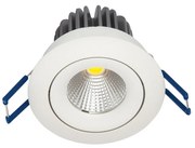 BI 1037