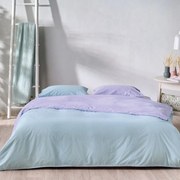 Σεντόνια Zuccero 19 (Σετ 3τμχ) Ciel-Lilac Kentia Μονό 160x270cm 100% Βαμβάκι