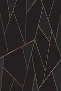 Χαλί EXFAB321 Black-Gold Conceptum Hypnose 160X230cm