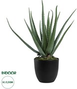 Artificial Garden ALOE 20065 Τεχνητό Διακοσμητικό Φυτό Αλόη Υ50cm  Globostar-20065-Πράσινο 20065