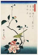 Αναπαραγωγή Camellia and Nightingale, Utagawa Hiroshige