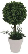 Μπονσάι Σε Κεραμικό Κασπώ 00.04.40008 32cm White-Green Ceramic
