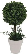 Μπονσάι Σε Κεραμικό Κασπώ 00.04.40008 32cm White-Green κεραμικο