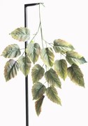 Τεχνητό Κλωνάρι Δίχρωμο 76 εκ. 6401-7 Supergreens-6401-7-Πράσινο 6401-7
