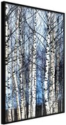 Αφίσα - Winter Birch Trees - 40x60 - Μαύρο - Χωρίς πασπαρτού