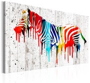 Πίνακας - Colourful Zebra 120x80