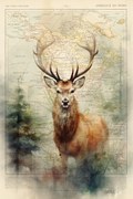 Εικονογράφηση Deer, Thomas Chedeville