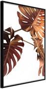 Αφίσα - Copper Monstera - 40x60 - Μαύρο - Χωρίς πασπαρτού