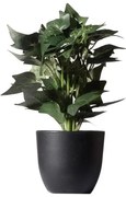 Τεχνητό Φυτό Κισσός Silver 30 εκ. 7060-6 Supergreens-7060-6-Πράσινο 7060-6