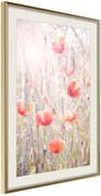 Αφίσα - Poppies - 40x60 - Χρυσό - Με πασπαρτού