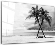 Πίνακας Γυάλινος 672BRS2674 72x46cm Black-White Wallity Οριζόντιοι Γυαλί