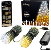 250 Smart LED Twinkly Strings (TWS250GOP-BEU) Κανονική Διάταξη, με Μαύρο Καλώδιο, Βluetooth, WiFi, Dimmer Και Έλεγχο μέσω Κινητού Τηλεφώνου - Gold/Sil