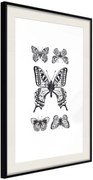 Αφίσα - Butterfly Collection IV - 40x60 - Μαύρο - Με πασπαρτού