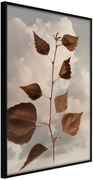 Αφίσα - Leaves in the Clouds - 40x60 - Μαύρο - Χωρίς πασπαρτού