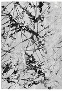 Χαλί (160x230) Polcarpet Monaco Moma NP267 Grey