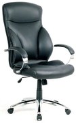 WOODWELL ΕΟ252BF5300 Πολυθρόνα Διευθυντή Μέταλλο Χρώμιο, PU Μαύρο 68x70x117/127cm ΕΟ252