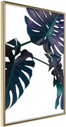 Αφίσα - Evergreen Monstera - 40x60 - Χρυσό - Χωρίς πασπαρτού