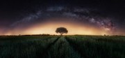 Φωτογραφία Milky way over lonely tree, Ivan Ferrero