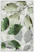 Χαλί Hmnt571 476HFT2107 Green-Grey Conceptum Hypnose 160X230cm